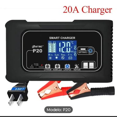 Cargador 20A - 2/2