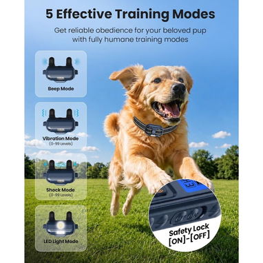 Pack de 2 Collares de Entrenamiento para Perros - 2/4