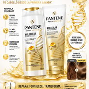Set Shampoo y Acondicionador Pantene Molecular - Img 55791646