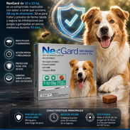 Nexgard de 10-25kg - Img 57195179