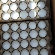 Venta de huevos - Img 57003642
