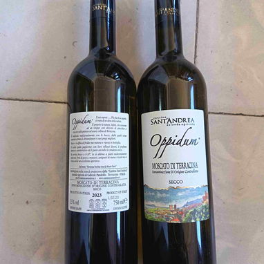 Oppidum seco 12 USD o CUP - 2/2