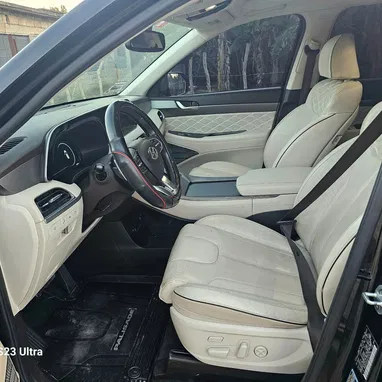 Vendo o negocio Hyundai Palisades 2020 caligrafhy - Img 111143586