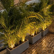 Diseñamos•Cuidamos•Transformamos.Macetas de cemento y jardineras.Todos los servicios de jardinería - Img 55330718