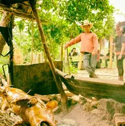✨ Bienvenidos a La Casa del Cerdito: El placer de celebrar en casa ✨ cerdo asado a tu casa - Img 47535200