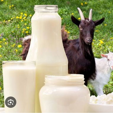 Kefir/ Leche de Chiva/ Yogurt griego - Img 124571461