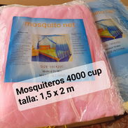 Mosquiteros - Img 56493324