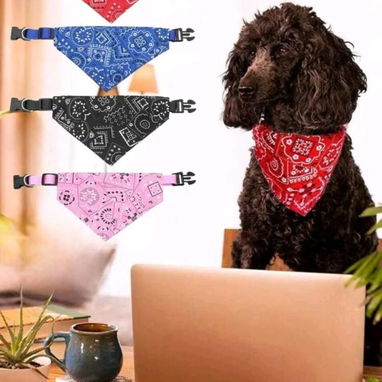 Vestimenta para mascotas - 10/10