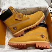 Timberlands - Img 55767211