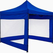 Carpa - Img 55858823