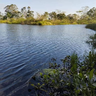 FOR SALE | 2-HECTARE FREEHOLD PROPERTY | HAVANA, CUBA - Img 125694208