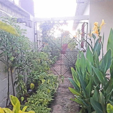 Casa INDEPENDIENTE Ciego de Ávila 20 000 USD - Img 125635297