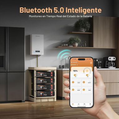 Batería HumsiENK 48V 100Ah LiFePO4 - 5120Wh - Nueva - 6/7