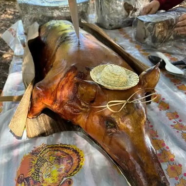 Comida a domicilio - Img 120911478