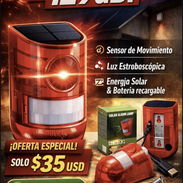Alarmas Solares con sensor de movimiento y luz - Img 57110441
