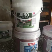 Pintura vinil antimoho color blanco 10L - Img 55726471