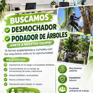 OFRECEMOS TODO TIPO DE EMPLEOS EN LA LISA - Img 57830228