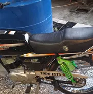 Moto Suzuki ax100 - Img 49281441