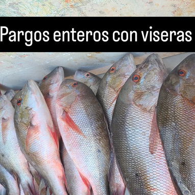 Venta de Helado y mariscos en centro habana - Img 127093400