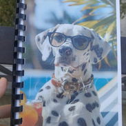 Libretas y cuadernos de estilos diferentes y tamaños variados - Img 54402149