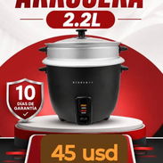 Arroceras 2.2 L - Img 57175008