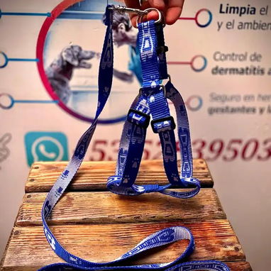 Pecheras para todas las razas y tamaños - Img 121850255