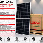 PANELES SOLARES LONGi BIFACIALES DE 615 W 🚨 - Img 58012036
