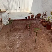 Venta de propiedad en playa - Img 57640957