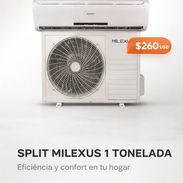SPLIT MILEXUS 1T - Img 56064314