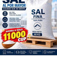 Sal Fina - Img 58396793