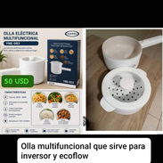 Olla multifuncional ideal para las ecoflow - Img 58156783