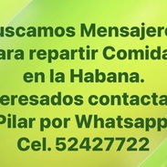 Buscamos Mensajetos para repartir comida en la Habana - Img 57324845