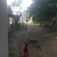 Casa en venta - Img 57208815