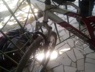 Bicicleta - Img 63920781