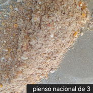 Vendo Pienso para cerdo y otros granos - Img 58365817