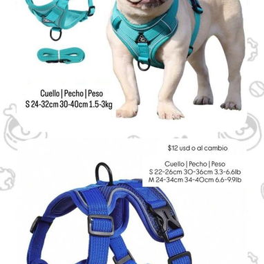 Suministros para mascotas - Img 124968528