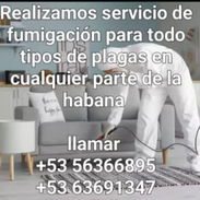 Servicio de fumigación - Img 56150486