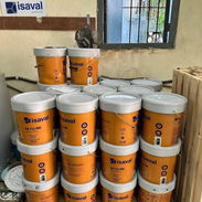 Pintura Isaval Vinil - Img 55566392
