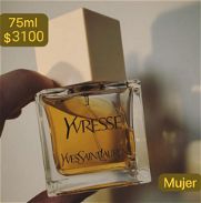 Vendo perfumes - Img 46069751