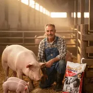 Se busca emprendedor encargado del área porcina - Img 56646637