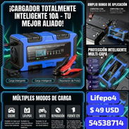 Cargador de Bateria Totalmente Inteligente para Lifepo4 etc - Img 55913554