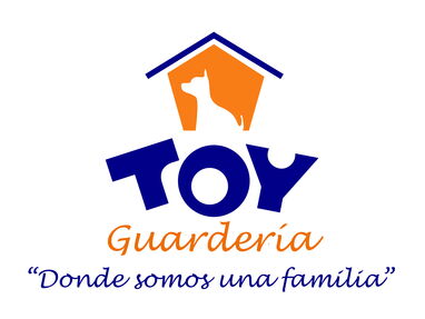 HOSTAL PARA PERROS DE PEQUEÑA TALLA Y GATOS DOMÉSTICOS Guardería Toy funciona desde el año 2013. Le podemos cuidar a su - Img main-image