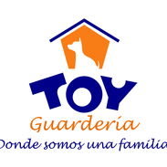 HOSTAL PARA PERROS DE PEQUEÑA TALLA Y GATOS DOMÉSTICOS Guardería Toy funciona desde el año 2013. Le podemos cuidar a su - Img 45225488