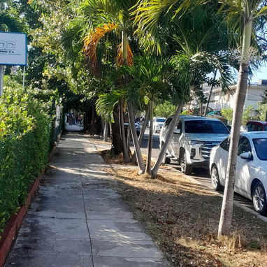 servicios de Jardinería y Limpieza - Img 118921180