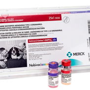 Hexavalentes canina - Img 56459527