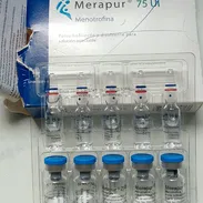 Merapur Menotrofina - Img 55603351