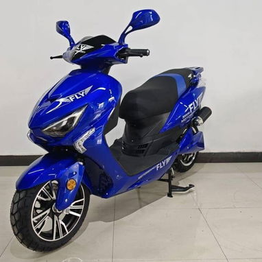 🏍️ MOTOS ELÉCTRICAS FLY RACING FF04 🏍️ *⚙️ CaracterĂsticas* • Motor de 3000W (Marca TOPMAQ) • Voltaje 72V • Capacida - Img 125251890