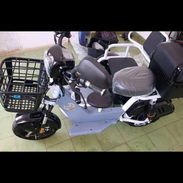 Motico maf de paseo con mini sidecar - Img 58264810