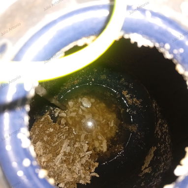 Plomero, fontanero, plomeria. Limpieza y mantenimiento de calentador eléctrico de 30lt. - Img 122053525