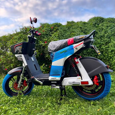 🚲 TOPMAQ EVOLUTION 2026 - 3000W - Litio extraíble 45Ah - VOTOL - Papeles y envío en La Habana - 2/5
